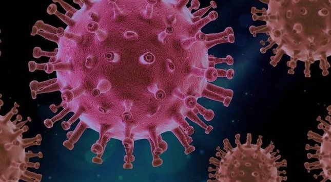 Coronavirus